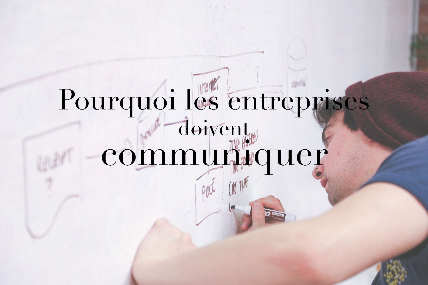 conseil en communication et rédaction vosges
