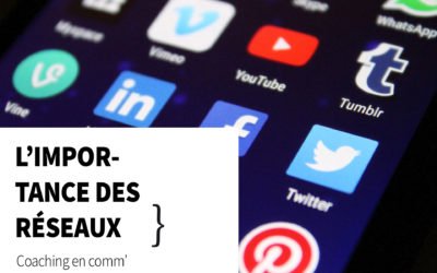 L&rsquo;importance des réseaux sociaux