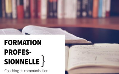 Formation professionnelle