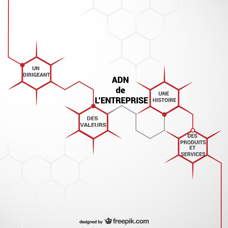 ADN de l'entreprise