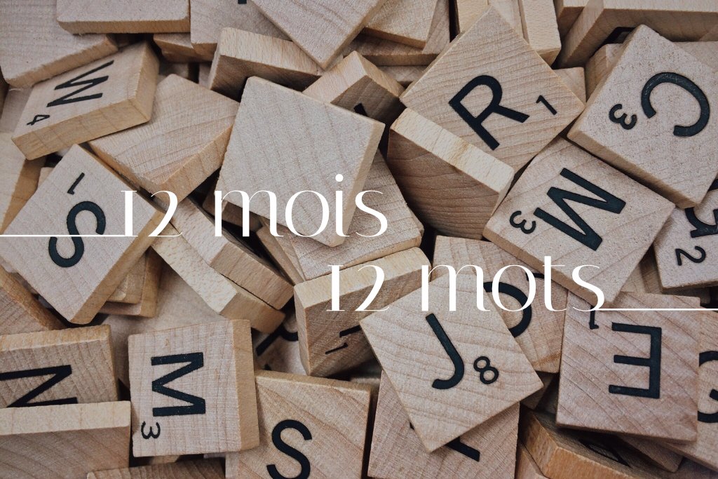 illustration pour article 12 mois, 12 mots